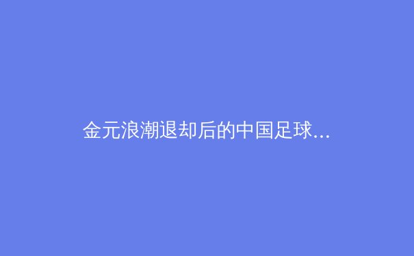 金元浪潮退却后的中国足球：青训体系重建与职业联赛的十字路口 - 3
